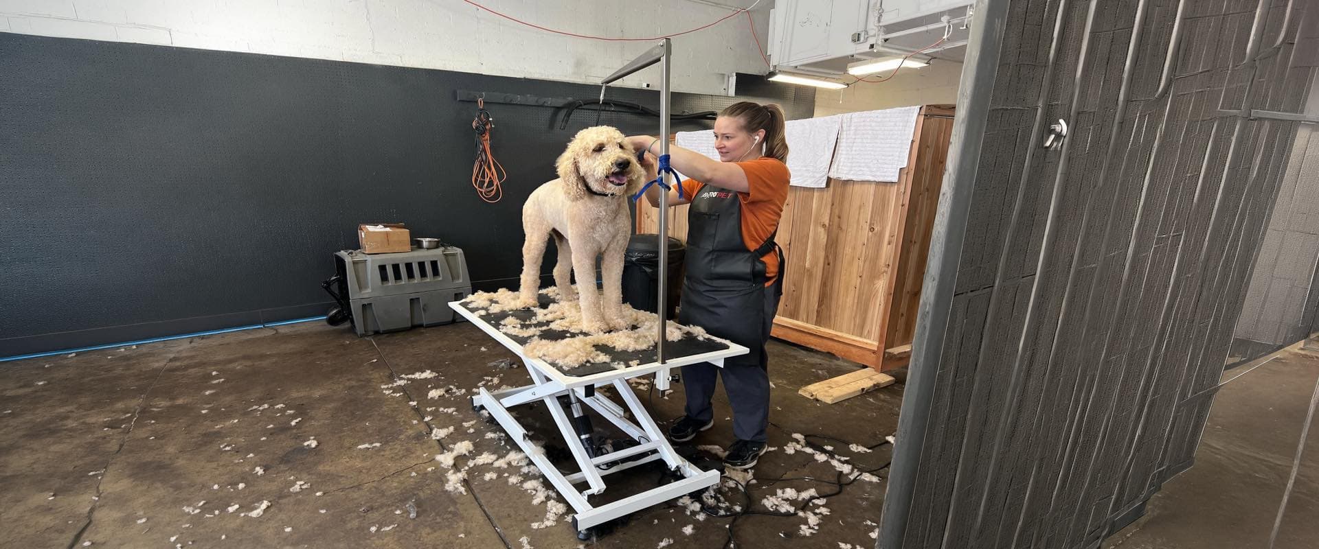 Dog Grooming · From $25