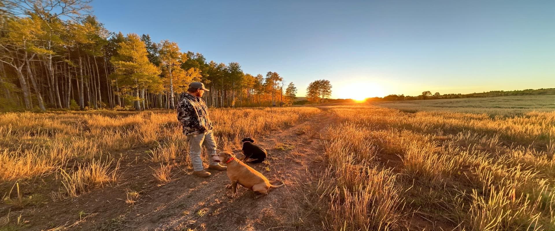 Dog Training · Programs from $2,000