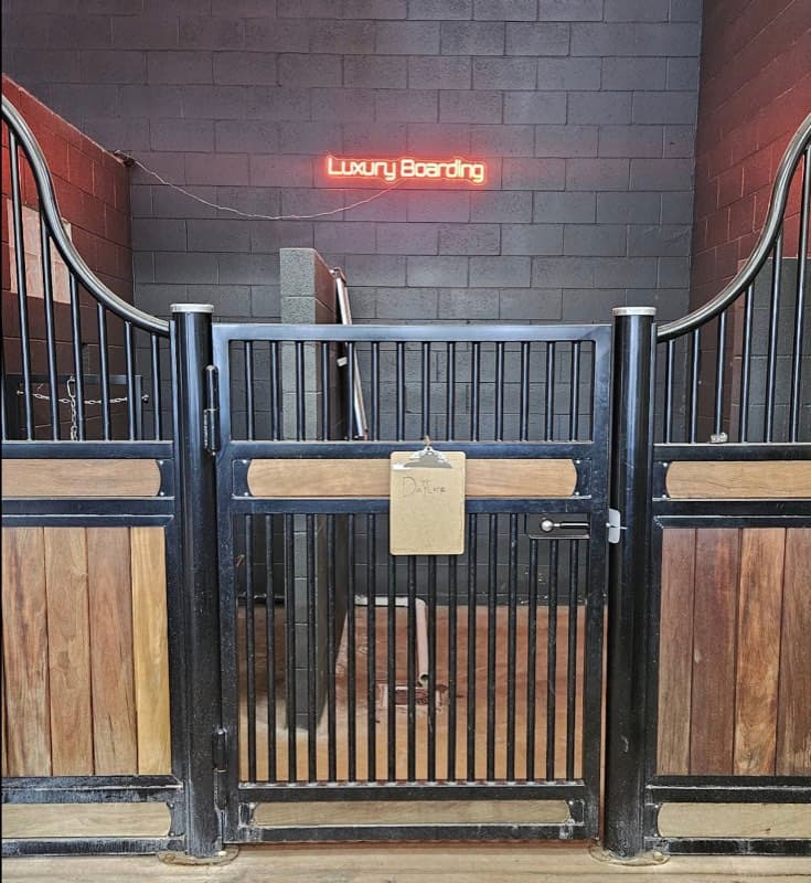 Rocky Mountain K9 luxury boarding facility with neon sign