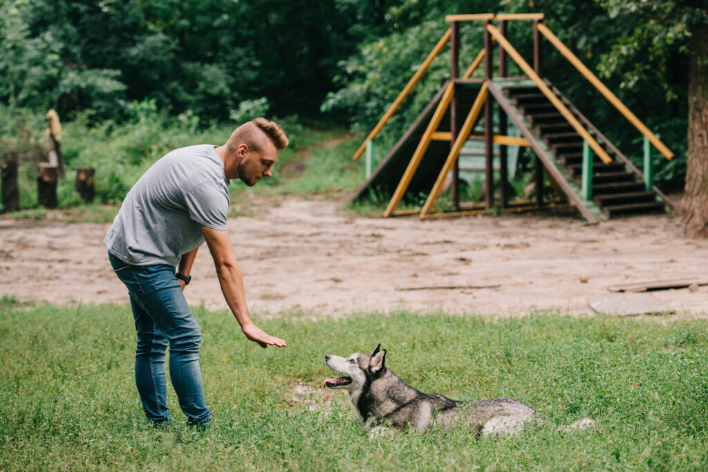 personalized dog training