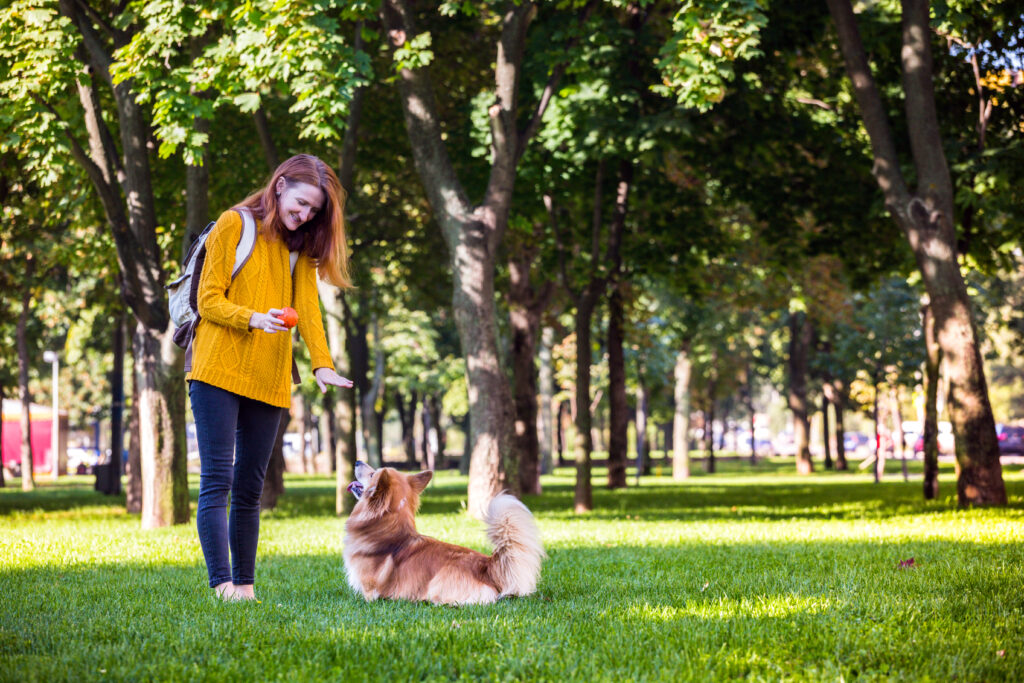 girl training dog