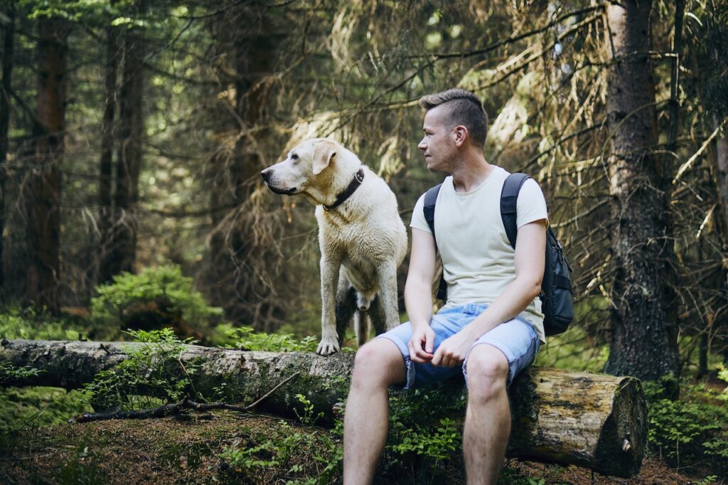 dog friendly hiking trails in utah